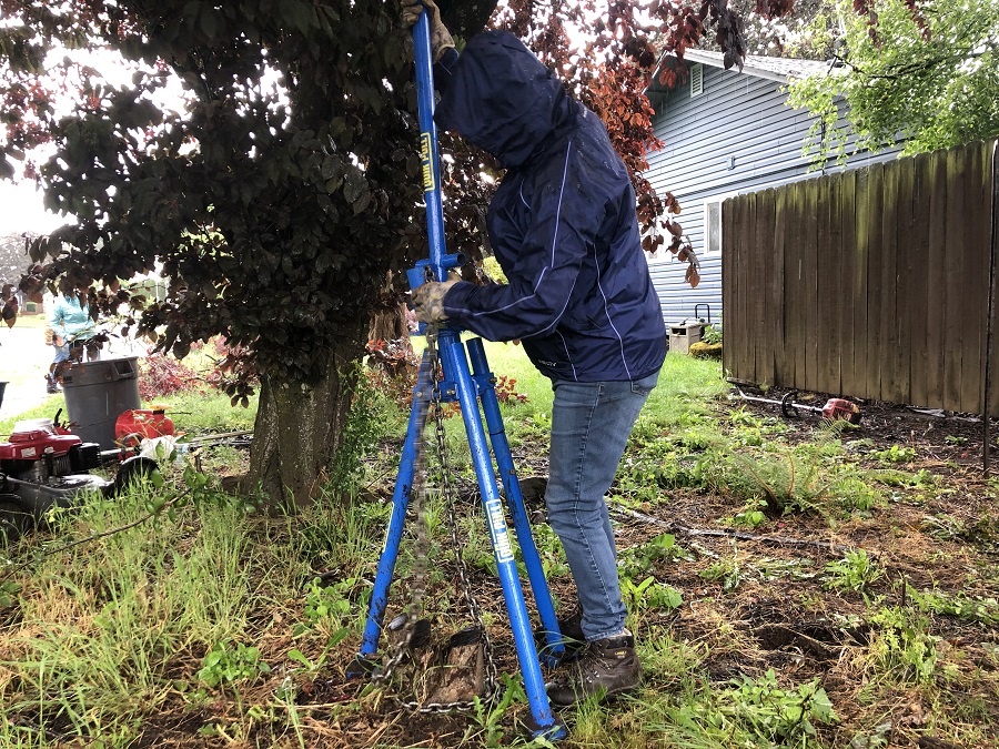 Stump Removal