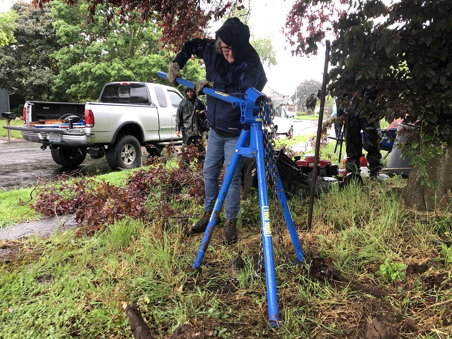 Stump Removal